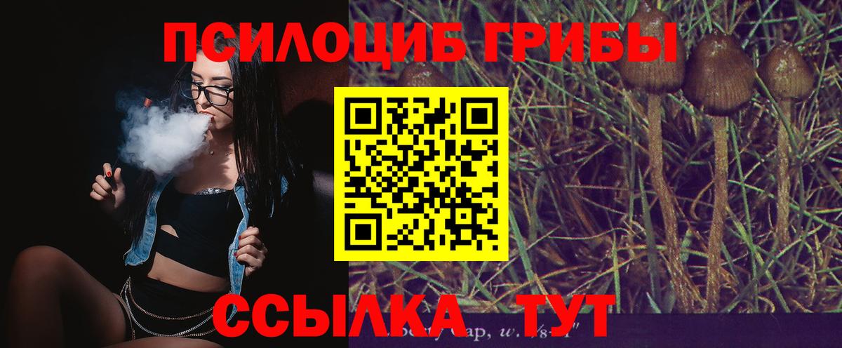 Псилоцибиновые грибы MAGIC MUSHROOMS  Галлюциногенные грибы Cubensis  Вход с VPN  Павлово 